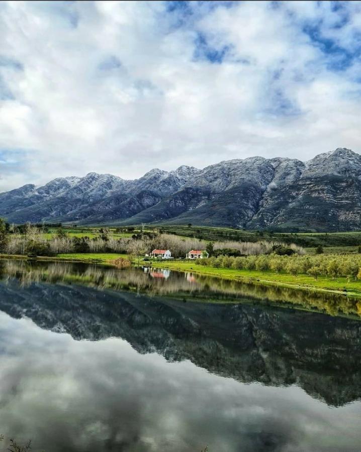 Fraaigelegen Farm - Home Of Adhara Evoo Tulbagh Exterior photo