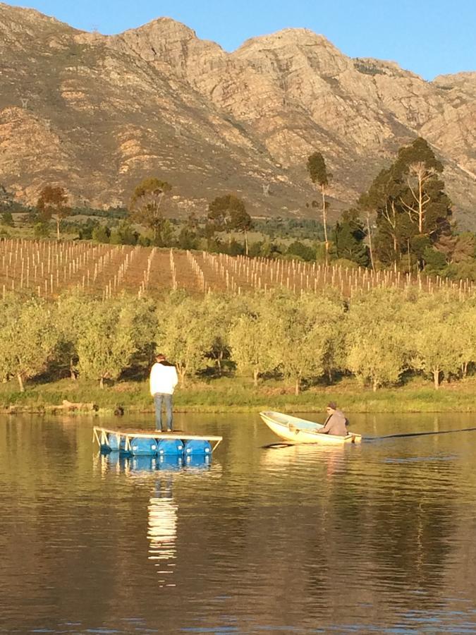 Fraaigelegen Farm - Home Of Adhara Evoo Tulbagh Exterior photo