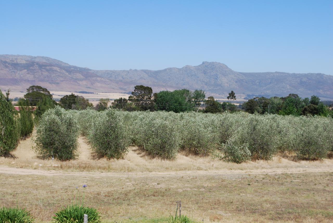 Fraaigelegen Farm - Home Of Adhara Evoo Tulbagh Exterior photo