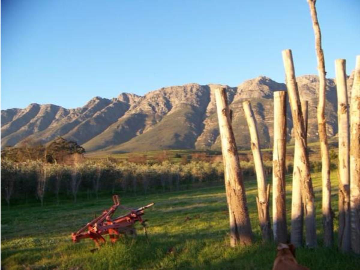 Fraaigelegen Farm - Home Of Adhara Evoo Tulbagh Exterior photo