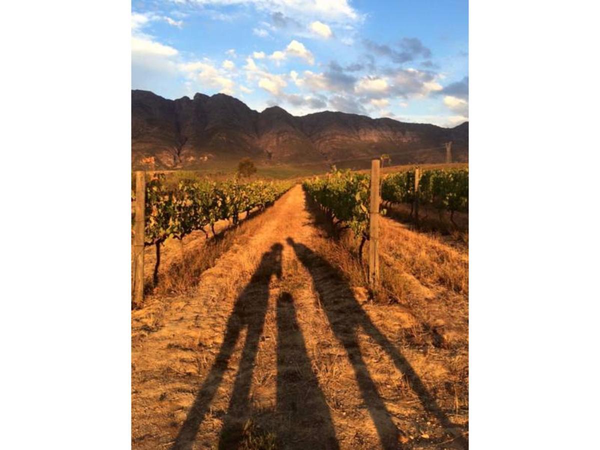 Fraaigelegen Farm - Home Of Adhara Evoo Tulbagh Exterior photo