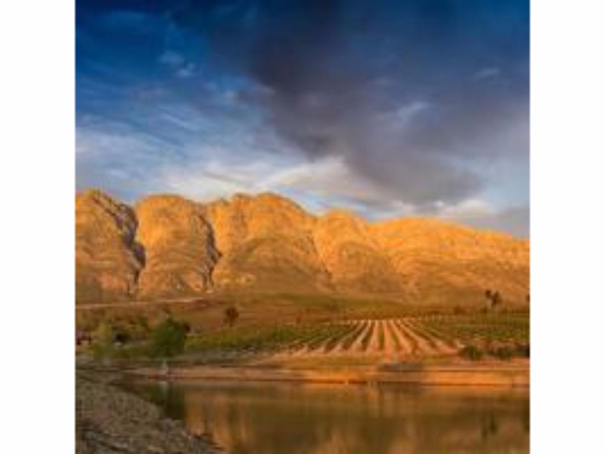 Fraaigelegen Farm - Home Of Adhara Evoo Tulbagh Exterior photo