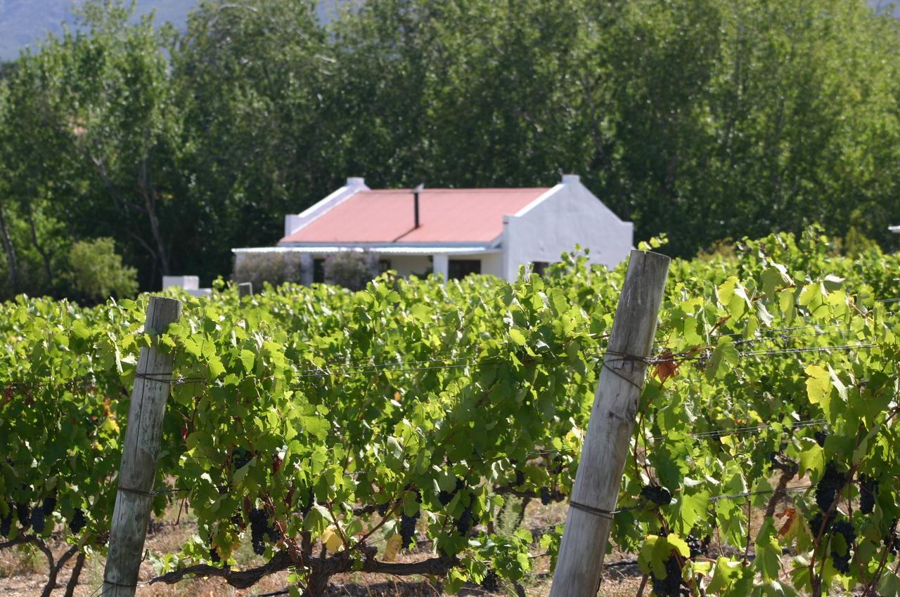 Fraaigelegen Farm - Home Of Adhara Evoo Tulbagh Exterior photo