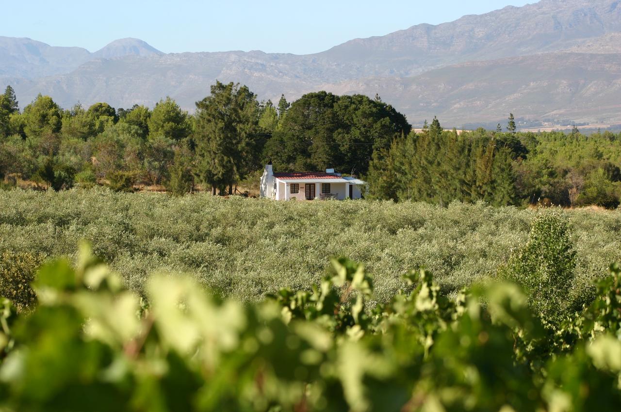 Fraaigelegen Farm - Home Of Adhara Evoo Tulbagh Exterior photo