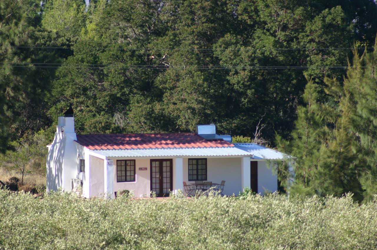 Fraaigelegen Farm - Home Of Adhara Evoo Tulbagh Exterior photo