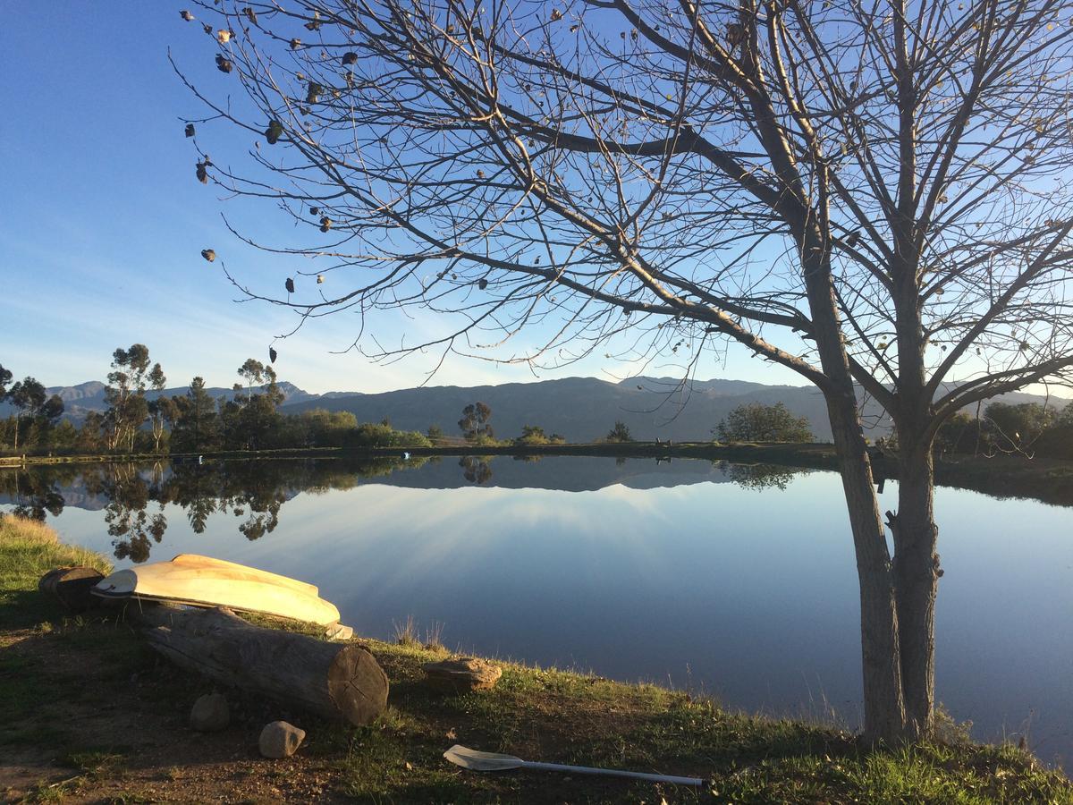 Fraaigelegen Farm - Home Of Adhara Evoo Tulbagh Exterior photo