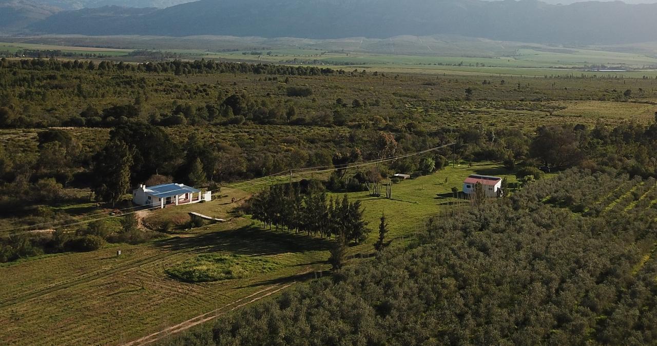Fraaigelegen Farm - Home Of Adhara Evoo Tulbagh Exterior photo