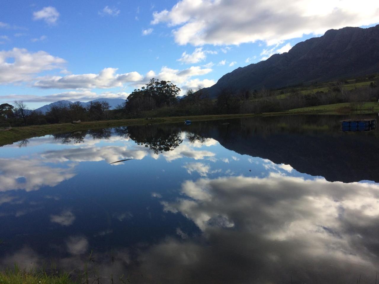 Fraaigelegen Farm - Home Of Adhara Evoo Tulbagh Exterior photo