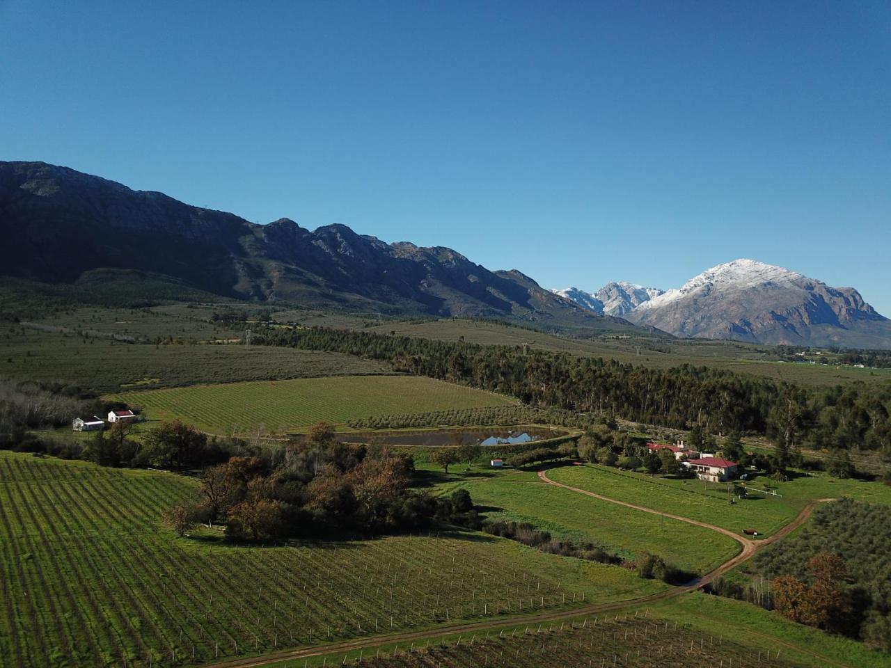 Fraaigelegen Farm - Home Of Adhara Evoo Tulbagh Exterior photo