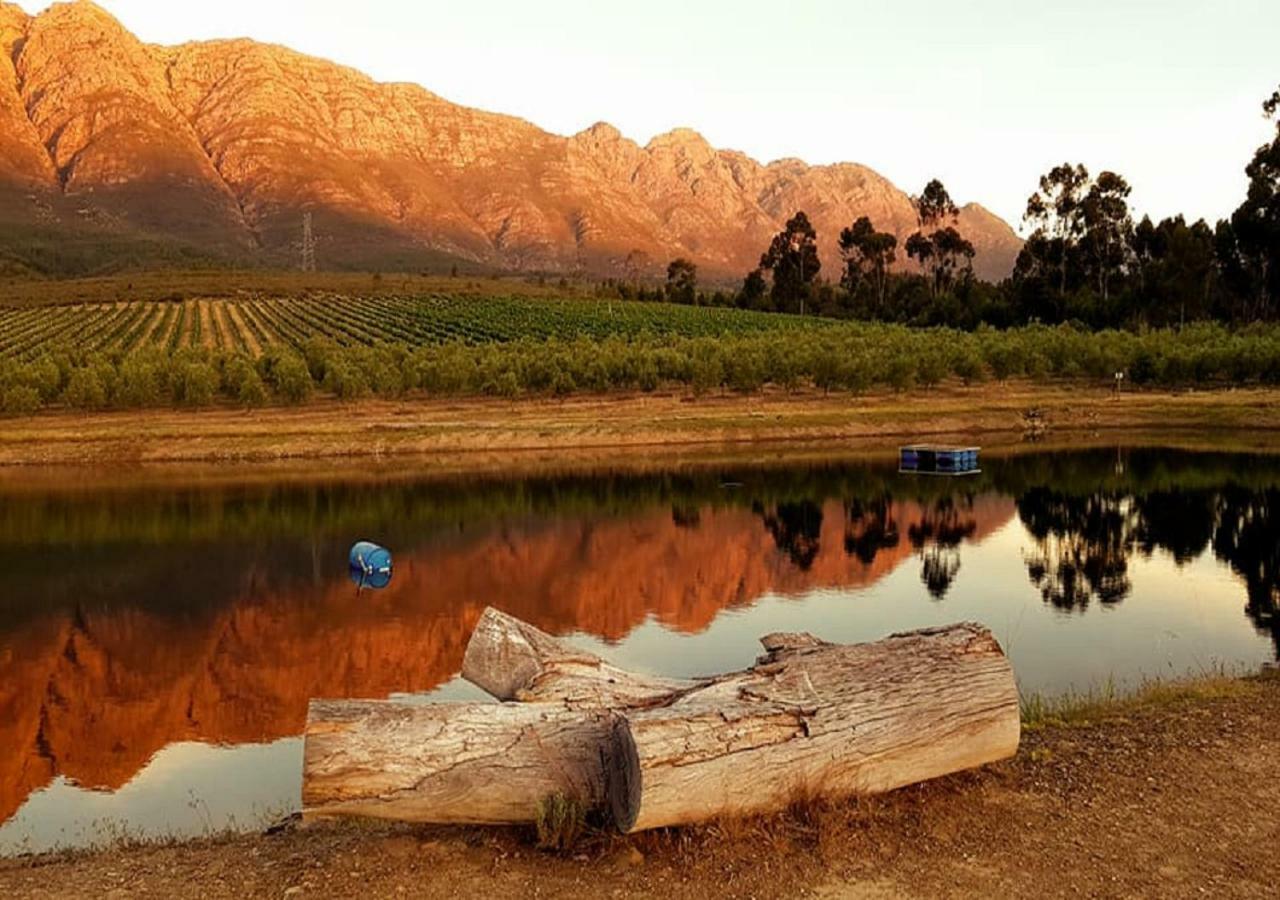 Fraaigelegen Farm - Home Of Adhara Evoo Tulbagh Exterior photo